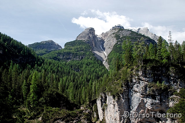 _DSC0450-f.jpg - Dolomiti, Parco Naturale di Sennes-Fanes  [a, FF, none]
